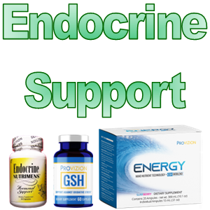 Endocrine Support